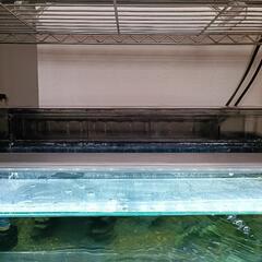 お得です！水槽フルセット　これひとつでいろいろ飼えますの画像