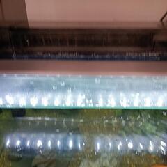 お得です！水槽フルセット　これひとつでいろいろ飼えますの画像