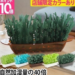 ミクニ 卓上加湿器 ミスティガーデン2nd エコロジー加湿器 気化式加湿器 小型加湿器 おしゃれ 赤ちゃん エコ 衛生的 お手入れ簡単 寝室 電気 使わない テーブル 床が濡れ ない ヒーターレス ペット 安全の画像