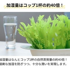 ミクニ 卓上加湿器 ミスティガーデン2nd エコロジー加湿器 気化式加湿器 小型加湿器 おしゃれ 赤ちゃん エコ 衛生的 お手入れ簡単 寝室 電気 使わない テーブル 床が濡れ ない ヒーターレス ペット 安全の画像