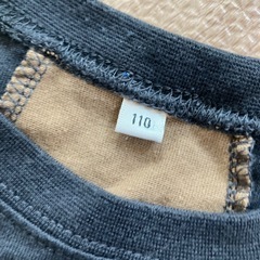 110春の画像