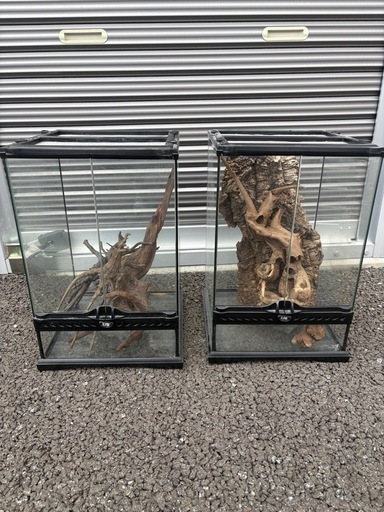 GEX グラステラリウム 流木　レイアウト　セット3045 2個セット　エキゾテラ 水槽 飼育ケージ ガラス　EXO TERRA ゲージ　爬虫類