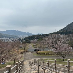 一緒に下関で花見をしませんか？
