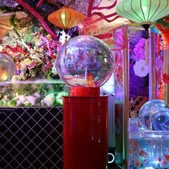 始めまして☆