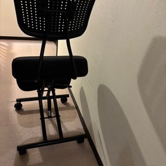 バランスチェアーの画像