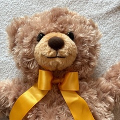 クマのリュックサックオレンジリボン付き
の画像