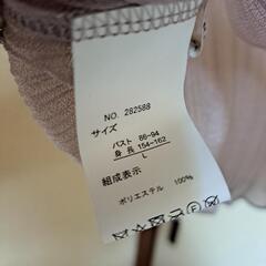 シースルー  Lの画像