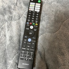 ジャンク　ソニー　テレビ　50インチの画像