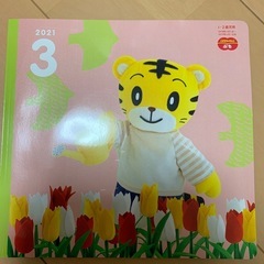 【取引完了】
ちゃれんじぷち 未使用の画像