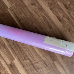 ストレッチポール　新品！の画像