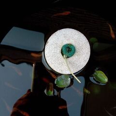 スーパーレッド　またはそこから産まれた子供の画像