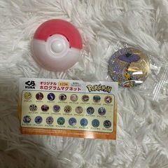ポケモン　タケルライコ　マグネット