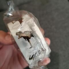 御褒美シールに✨ 恐竜ロールシール 500枚の画像