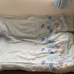夏用毛布2枚 シングル