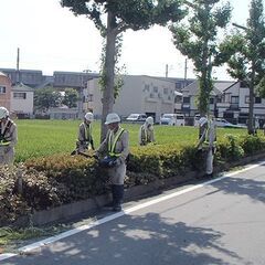 造園・街路樹剪定！！浦安市内！経験者歓迎！日当￥11，000～ ...