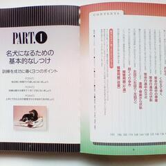 🟪 【 プロが教える  やさしい  名犬育成講座 】　本 🟪の画像