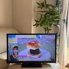 テレビ　無料
