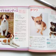 🟪 【 犬の気持ちがわかれば　しつけはカンタン！】本　 🟪の画像