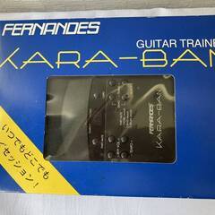 【FERNANDES】hideセットの画像