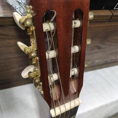【売切れました！】 アコースティックギター ギターの画像