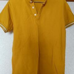 ポロTシャツ