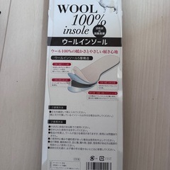 ウールインソールの画像