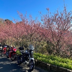 🏍ツーリングチーム結成〜メンバー募集中