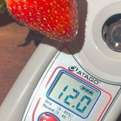糖度計　ATAGO POCKET refractiometer