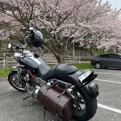FXDLローライダー　ハーレー　
