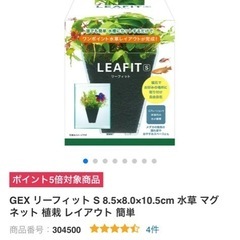 水槽水草