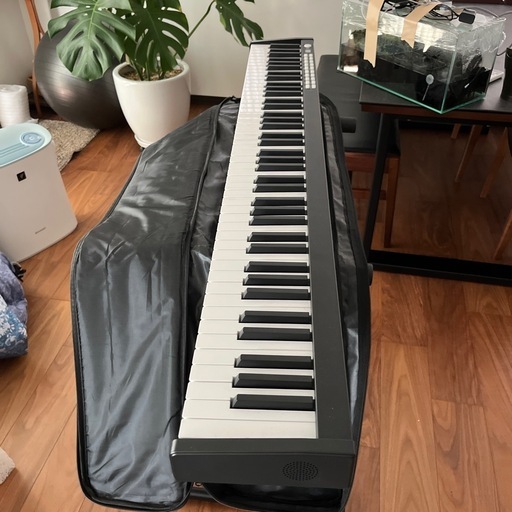 ピアノ・キーボード・鍵盤