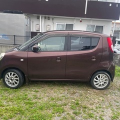 本日引き取り可能な方の画像