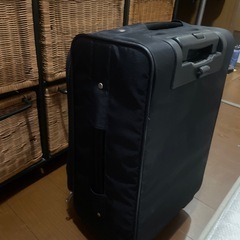 キャリーの画像