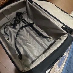 キャリーの画像