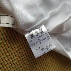 式服　ポロシャツ　半袖　150サイズの画像