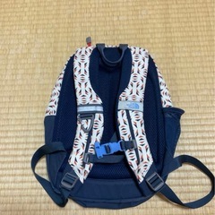 ノースフェイス レインウェア バックパック