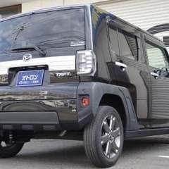 😎人気のタフトいかがでしょうか😜の画像