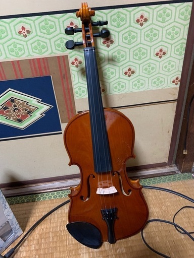 バイオリン 60センチ