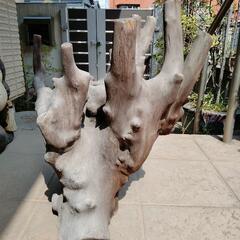 流木　天然木　切り株飾り物　床の間飾り　盆栽の画像