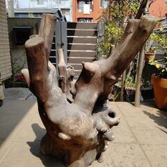 流木　天然木　切り株飾り物　床の間飾り　盆栽の画像