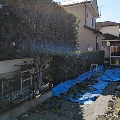 25.4.30 更新 : 生け垣 ( 垣根 ) 等の剪定作業