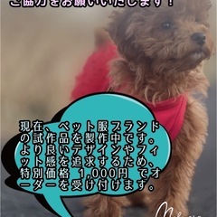 試作品モニター募集中！完全ハンドメイドペットウェア⭐️