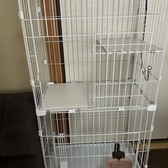 猫用ケージの画像