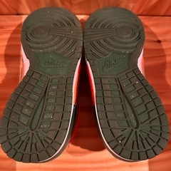 NIKE ダンクロー28cmの画像