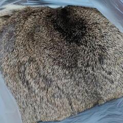 鹿皮の敷き物用素材の画像