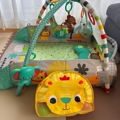 ベビー　
プレイジム　の画像