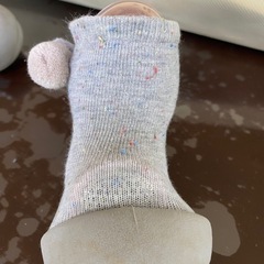 アティパス　11.5cmの画像