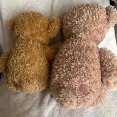 ダッフィー　シェリーメイ　ぬいぐるみの画像