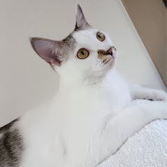💛天然癒し系女子のエミちゃん💛