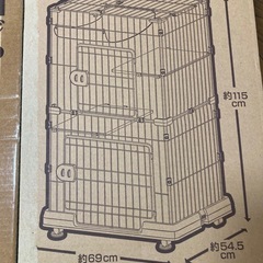 猫 キャットケ－ジの画像